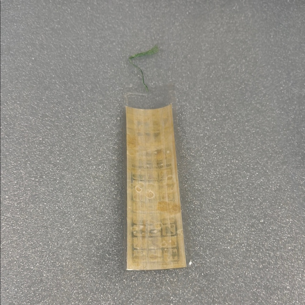 Blue and Green Egyptian Style Ruler with Decorative Design - Picture 2 of 3